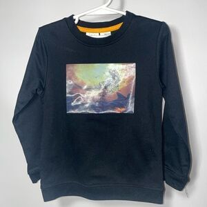 Kidgets long sleeve dinosaur shirt